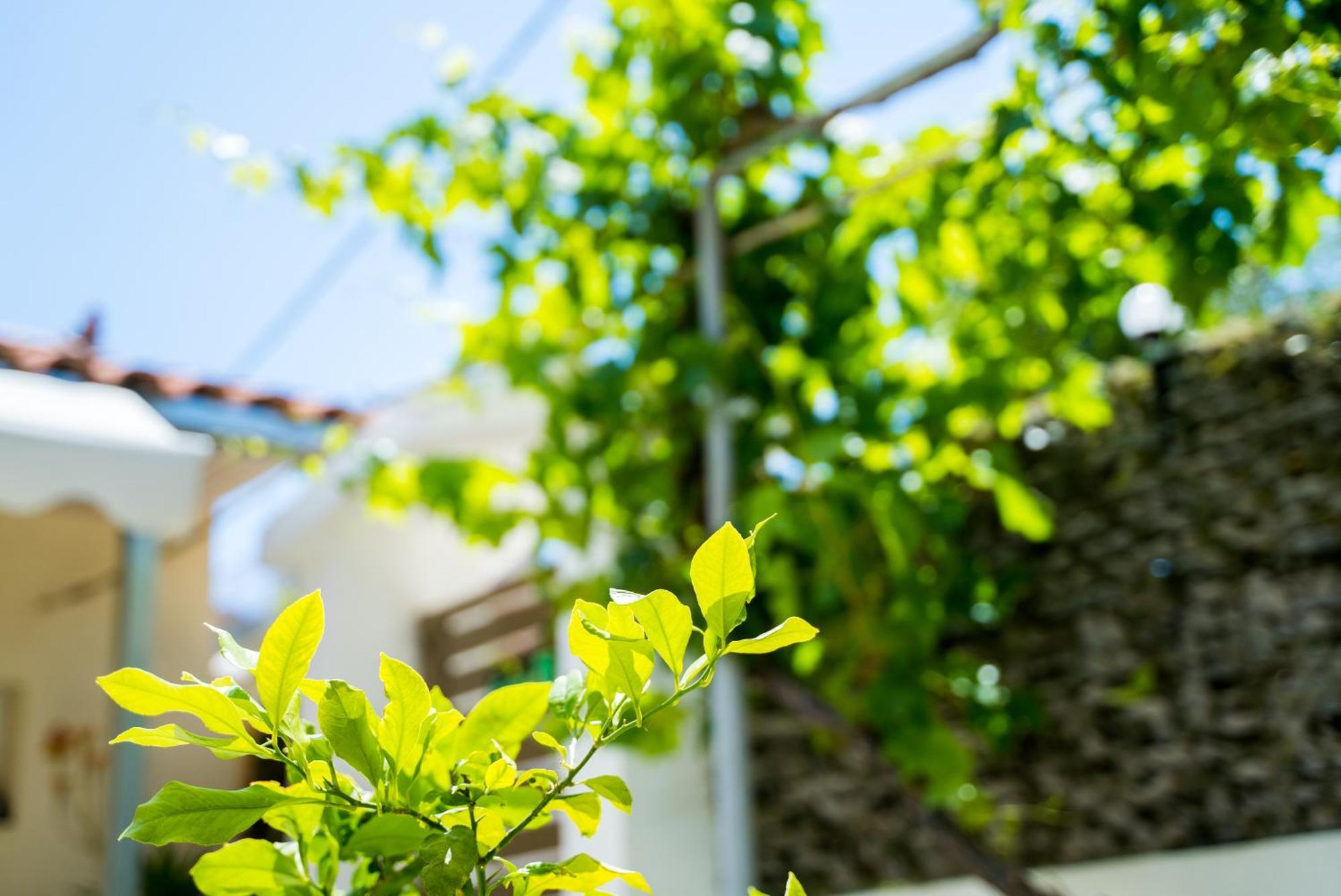 Apartament The Dreamhouse Athens Airport Artemida  Zewnętrze zdjęcie